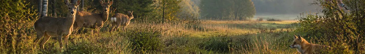������� � ����� ���������� �������� � ������